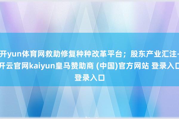 开yun体育网救助修复种种改革平台；股东产业汇注-开云官网kaiyun皇马赞助商 (中国)官方网站 登录入口