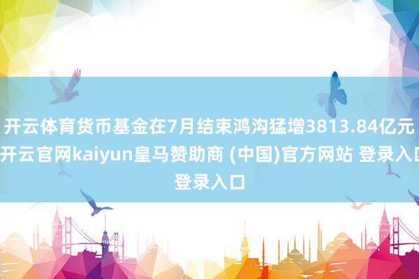 开云体育货币基金在7月结束鸿沟猛增3813.84亿元-开云官网kaiyun皇马赞助商 (中国)官方网站 登录入口