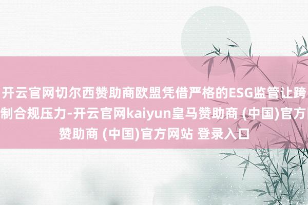 开云官网切尔西赞助商欧盟凭借严格的ESG监管让跨国企业面对强制合规压力-开云官网kaiyun皇马赞助商 (中国)官方网站 登录入口
