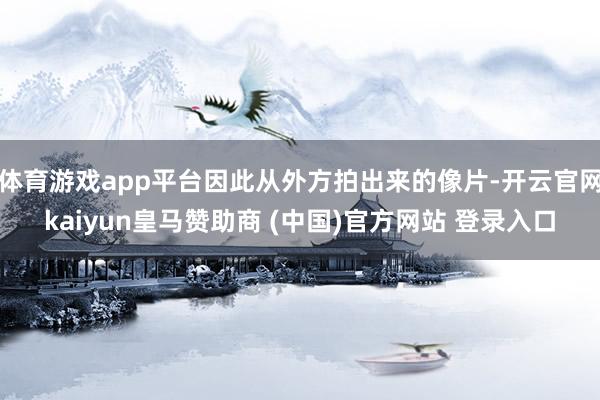 体育游戏app平台因此从外方拍出来的像片-开云官网kaiyun皇马赞助商 (中国)官方网站 登录入口