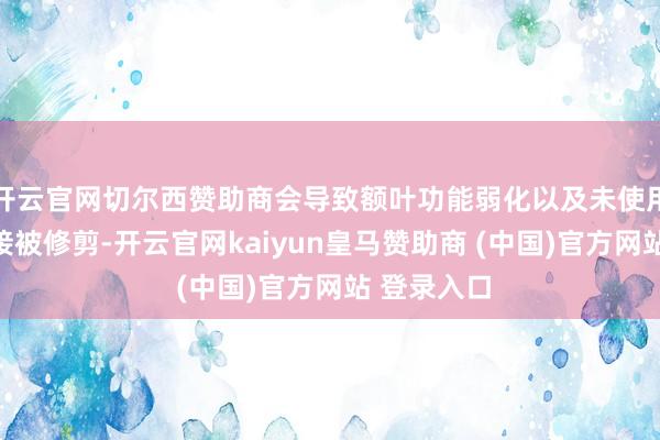 开云官网切尔西赞助商会导致额叶功能弱化以及未使用的神经承接被修剪-开云官网kaiyun皇马赞助商 (中国)官方网站 登录入口